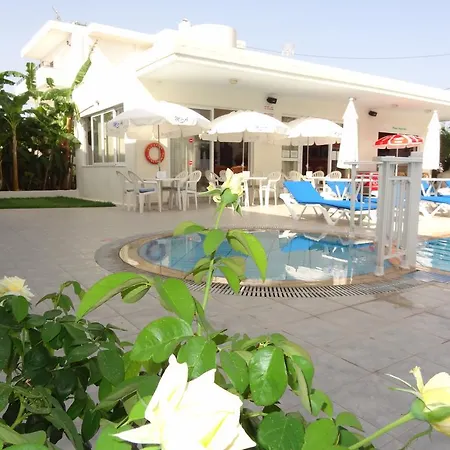 Michalis & 3* بلدة كوس