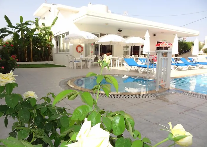 Michalis & 3* بلدة كوس