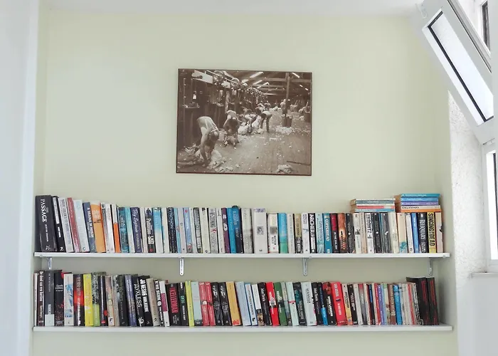 Michalis & 코스 타운